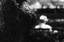 _DSC2628%20(1)