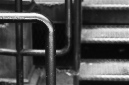 _DSC2637%20(1)
