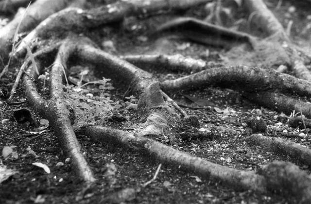 DSC_5177