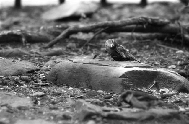 DSC_5186