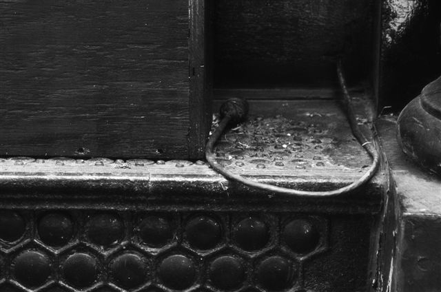_DSC5407%20(1)