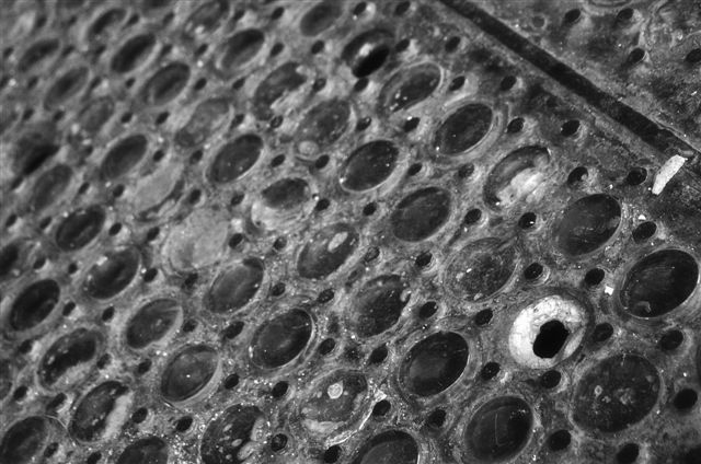 _DSC5430%20(1)