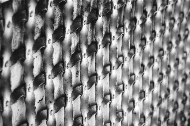 _DSC5507%20(1)