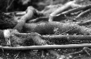 DSC_5178