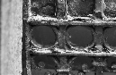 DSC_5243