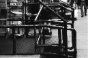 _DSC5312%20(1)