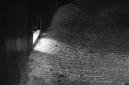 _DSC5353%20(1)