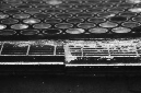 _DSC5374%20(1)