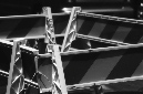 _DSC5383%20(1)