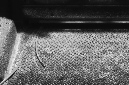 _DSC5392%20(1)