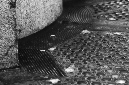 _DSC5417%20(1)