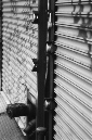 _DSC5437%20(1)