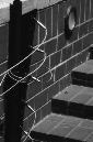 _DSC5445%20(1)