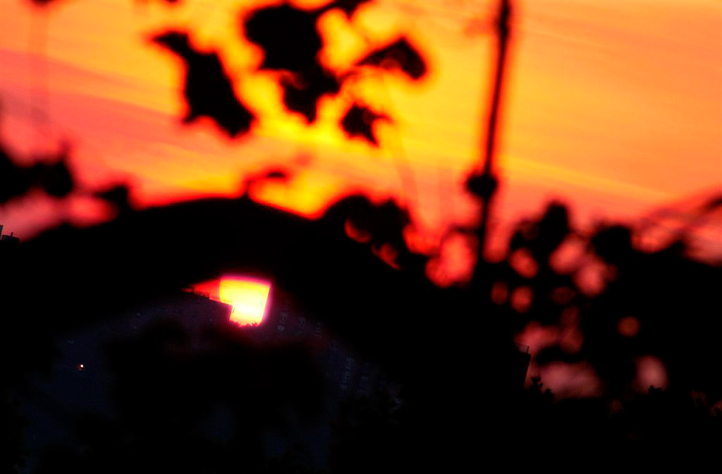 DSC_1370