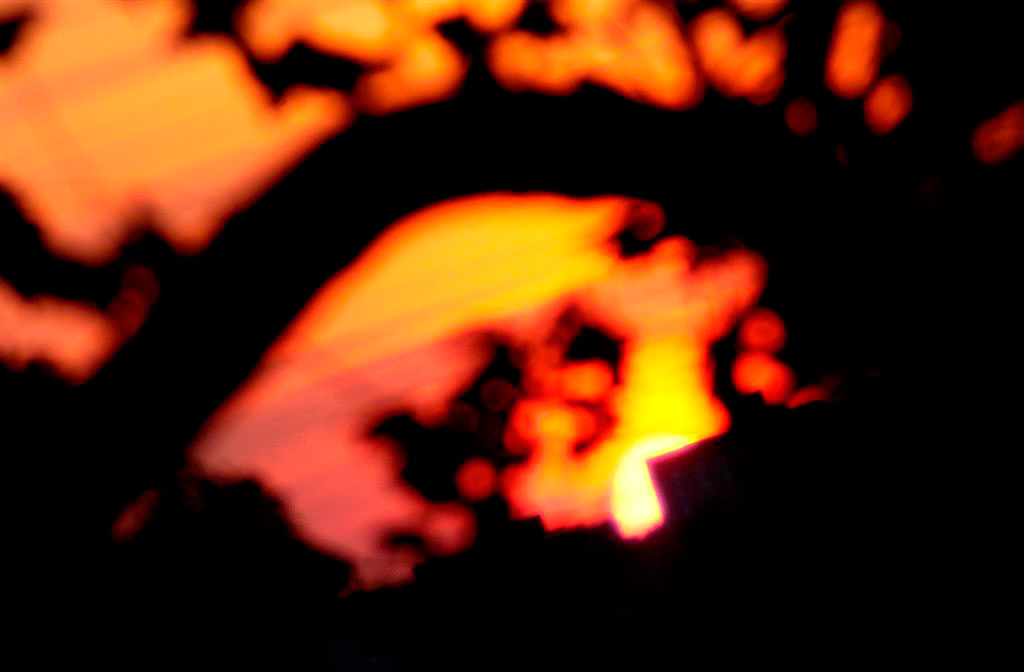 DSC_1375