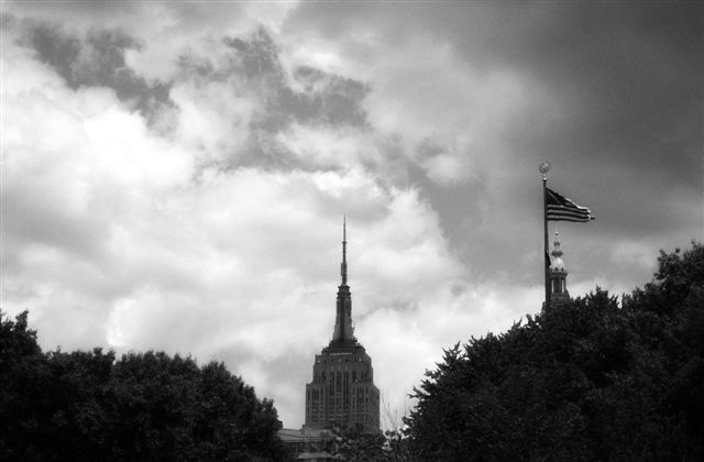 DSC_2390