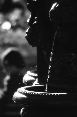 DSC_8505
