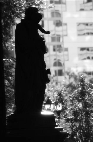 DSC_8509