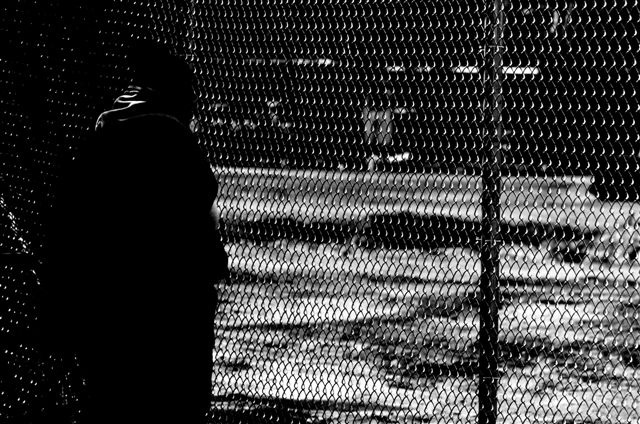 _DSC0295