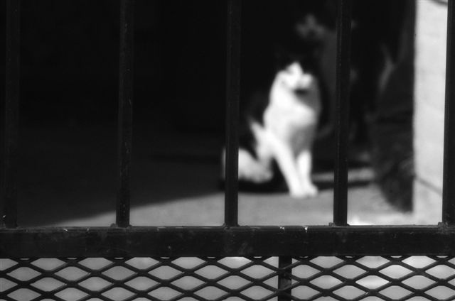 _DSC0357