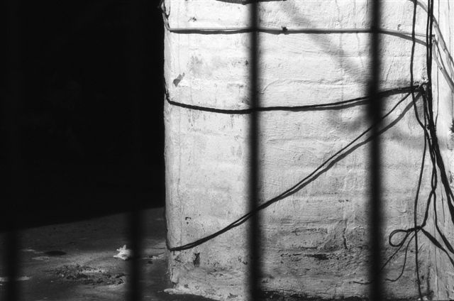 _DSC0359