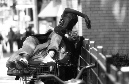 DSC_4832