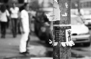 DSC_8470