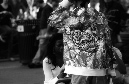 DSC_8852