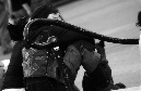 DSC_8864