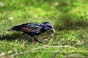 _DSC0250