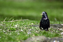 _DSC0260