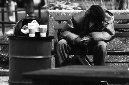 _DSC0305