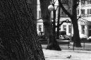 _DSC0311