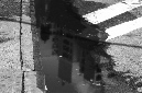 _DSC0323