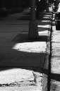 _DSC0345