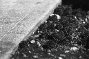 _DSC0348