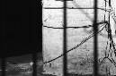 _DSC0359