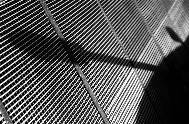 DSC_6256