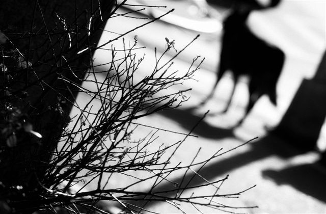 DSC_6261