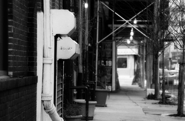 DSC_6331