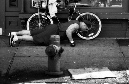 DSC_6276