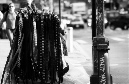 DSC_6342