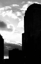 DSC_6382