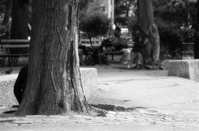 DSC_0979