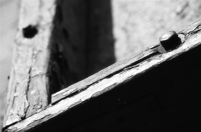 DSC_1036