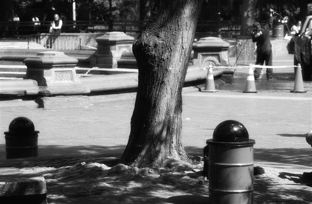 DSC_1066
