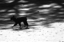 DSC_0908
