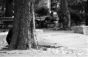 DSC_0979