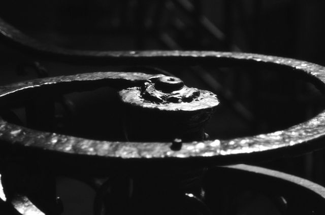 _DSC2852%20(1)