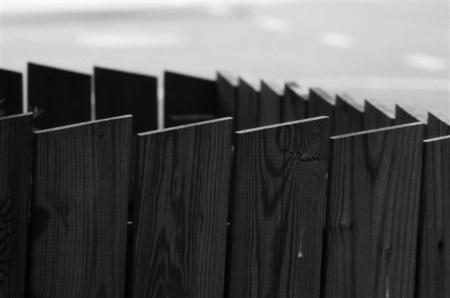_DSC3026%20(1)